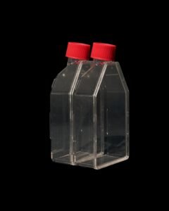 Cell Culture Flask