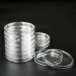 Petri plate_1 (2)