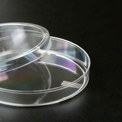 Petri plate_3 (1)